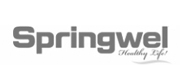 23 client logo springwel
